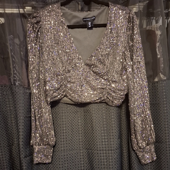 Sincerly Jules Tops - Sincerely Jules Sparkly Silver Sequin Long Sleeve Crop Top Blouse